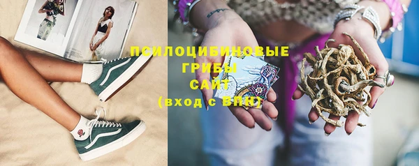 прущий лед Надым