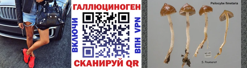 Псилоцибиновые грибы Magic Shrooms  Купить где  Яблоновский